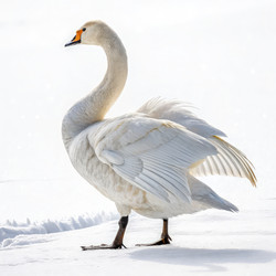 Similar image 22755042