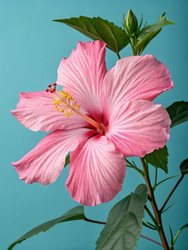 Similar image 22753995