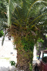 Similar image 22756695