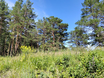 Similar image 22759000