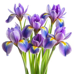 Similar image 22754133