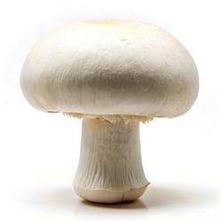 Similar image 22755422