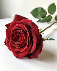 Similar image 22754118