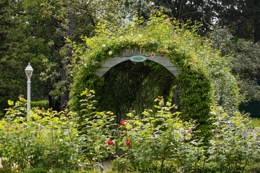 Similar image 22753953