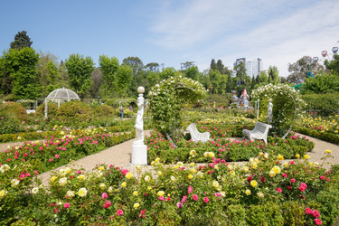 Similar image 22753957