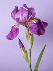 Similar image 22755546