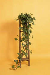 Similar image 22755604