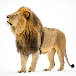 Similar image 22754388
