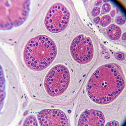 Similar image 22754766