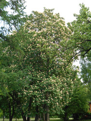 Similar image 22756701