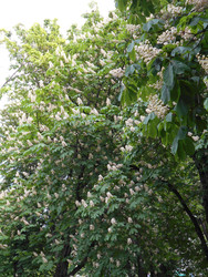 Similar image 22756715