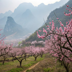 Similar image 22755350