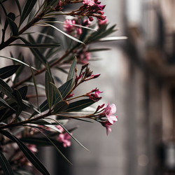 Similar image 22754107