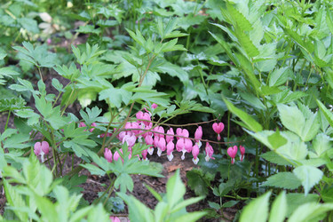 Similar image 22756665