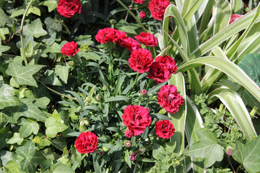 Similar image 22756666