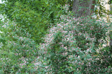 Similar image 22756668