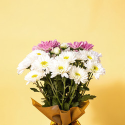 Similar image 22754452