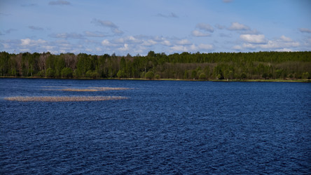 Similar image 22768922