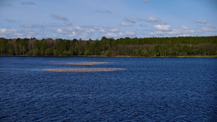 Similar image 22768928