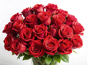 Similar image 22755159