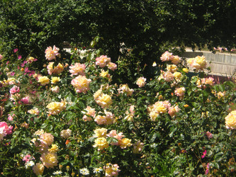 Similar image 22756649