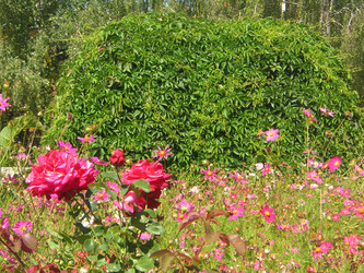 Similar image 22756651