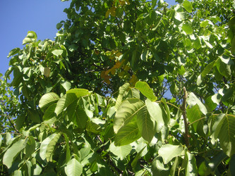 Similar image 22756653