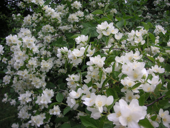 Similar image 22756654