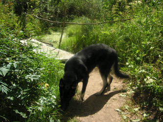 Similar image 22756655