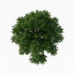 Similar image 22766510