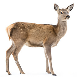 Similar image 22766661