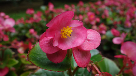 Similar image 22753900