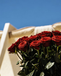Similar image 22757534