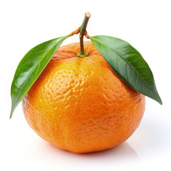 Similar image 22757955