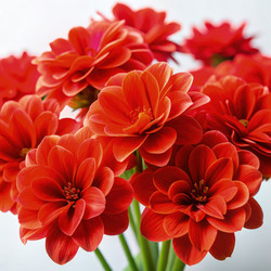 Similar image 22766344