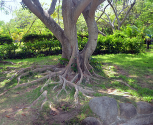 Similar image 22759418
