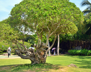 Similar image 22759436