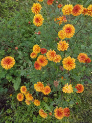 Similar image 22759668