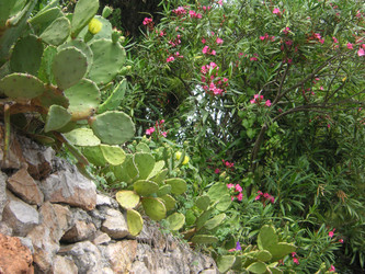Similar image 22759669