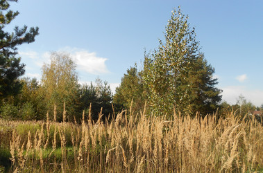 Similar image 22759681