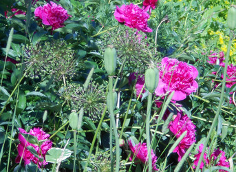 Similar image 22759682