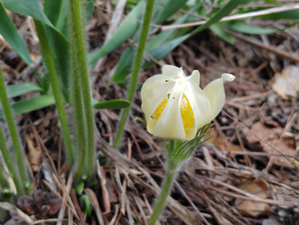 Similar image 22758992