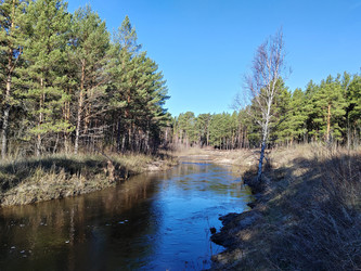 Similar image 22759009