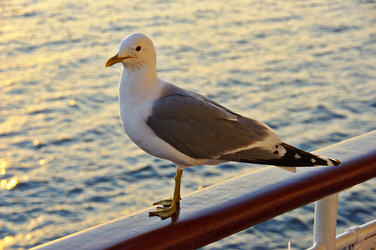 Similar image 22759462