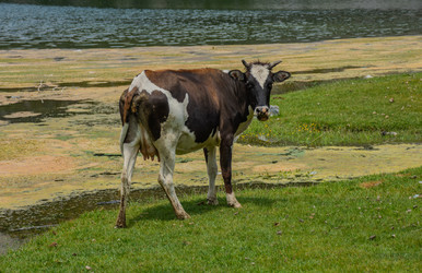 Similar image 22769070