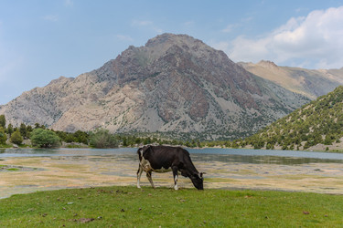 Similar image 22769088