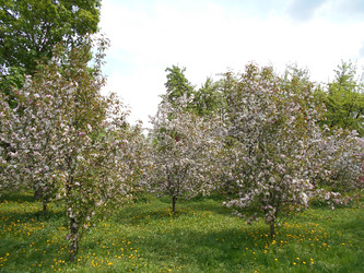 Similar image 22759608