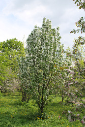 Similar image 22759626