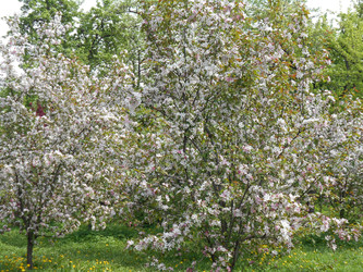 Similar image 22759627