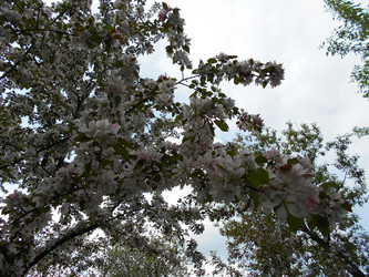 Similar image 22759699
